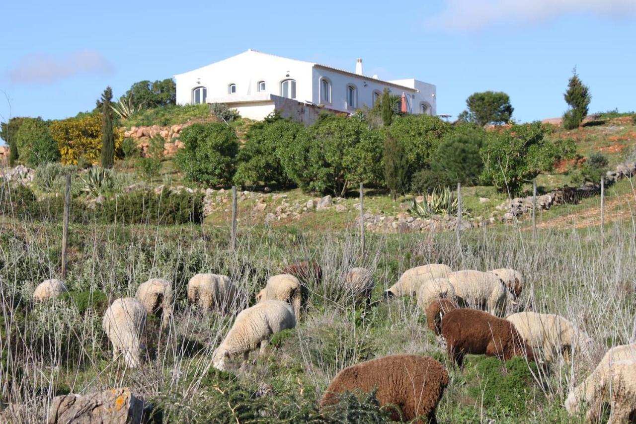 Casa Das Furnas - Eco Home Вила до Биспо Екстериор снимка